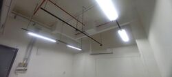 The Promenade@Pelikat (D19), Shop House #543655581